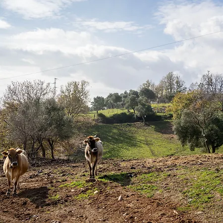 Εξοχικό σπίτι San Basilio