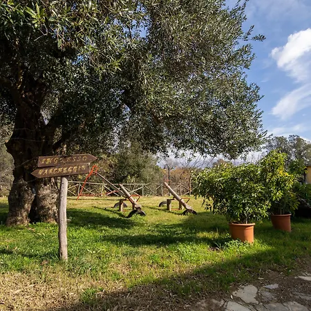 San Basilio * Salento